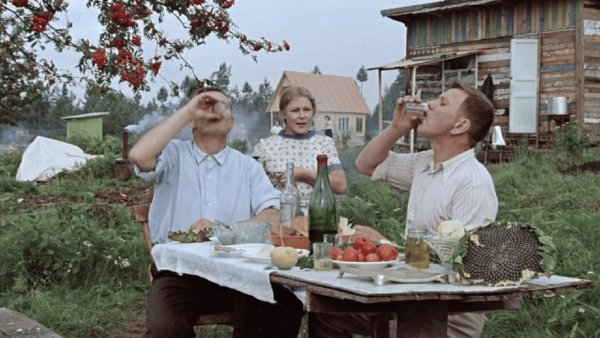 Дача карикатура