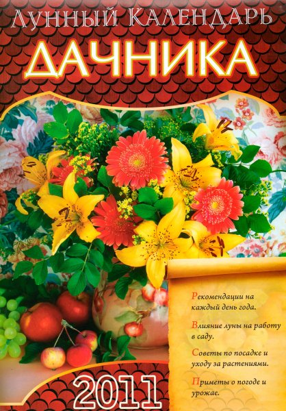 Дача карикатура