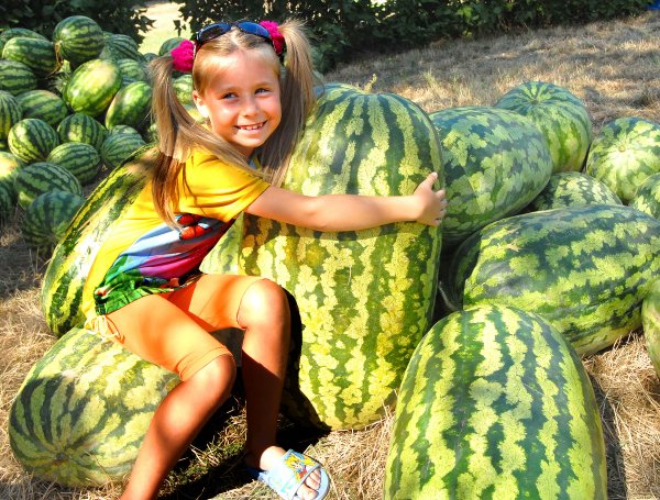 Необычные арбузы