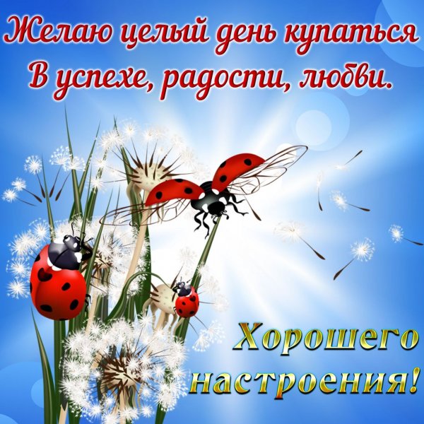 Доброго дня и хорошего настроения