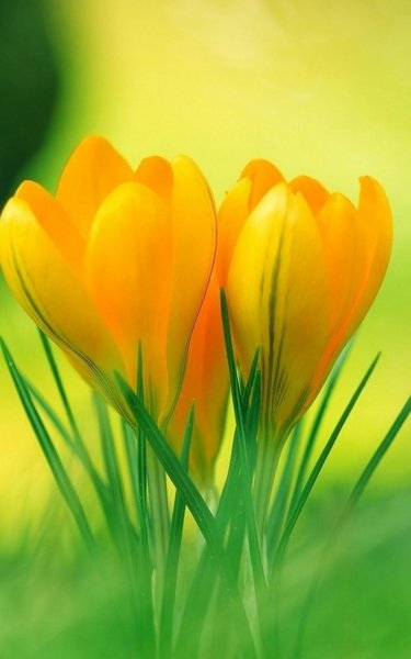 Хорошего дня и отличного настроения