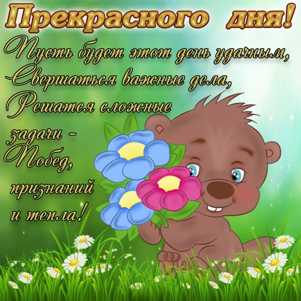 Приятные пожелания