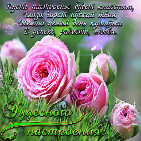 Хорошие пожелания