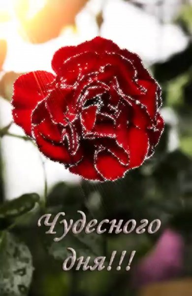 Добрый день