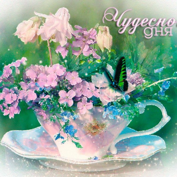 Доброго чудесного дня