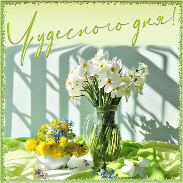 Доброго солнечного утра и чудесного дня