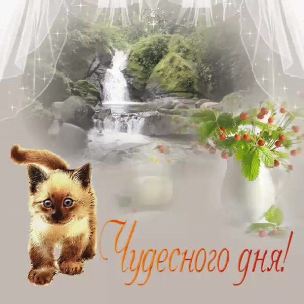 Чудесного дня анимация