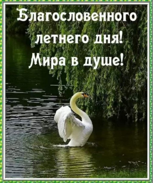 Доброк УТРАИ благославенного дн