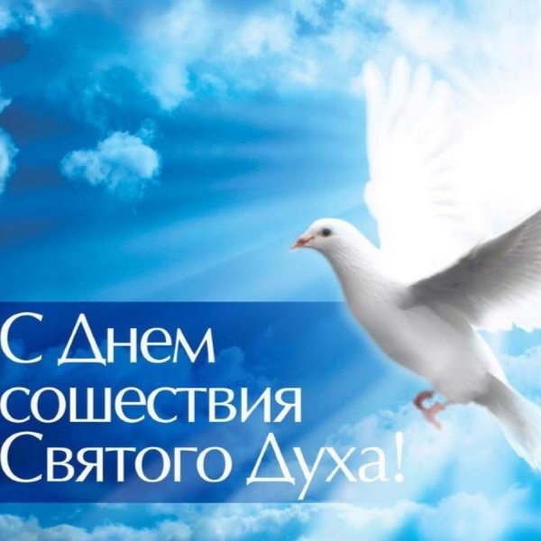 С днем Святого духа поздравления