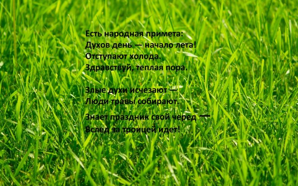Духов день начало лета