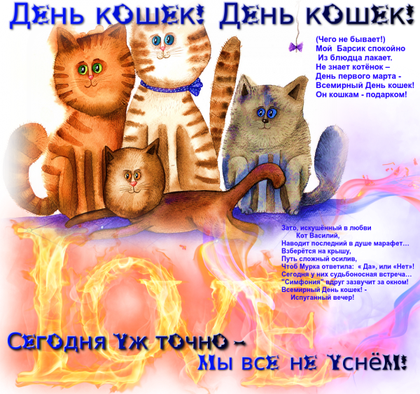 Поздравление с днем кота в картинках