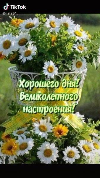 Удачного дня и отличного настроения