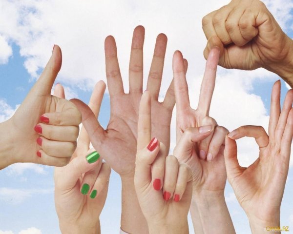 Lefthanders International