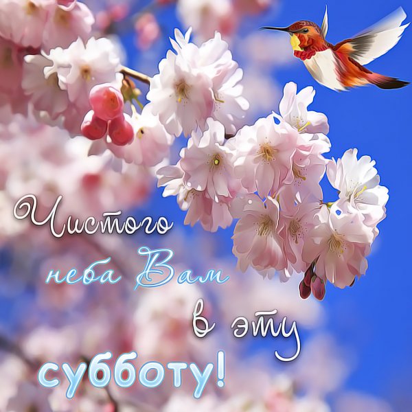 Добрые весенние пожелания