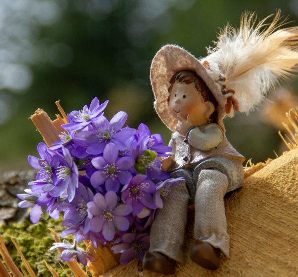 Радости в новом дне