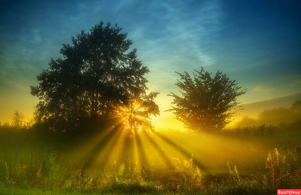 Утро нового дня