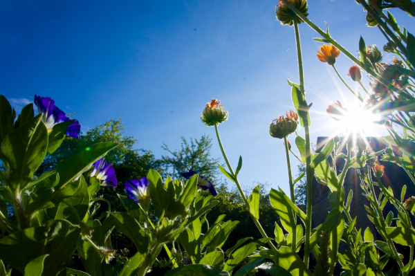 С добрым ранним утром
