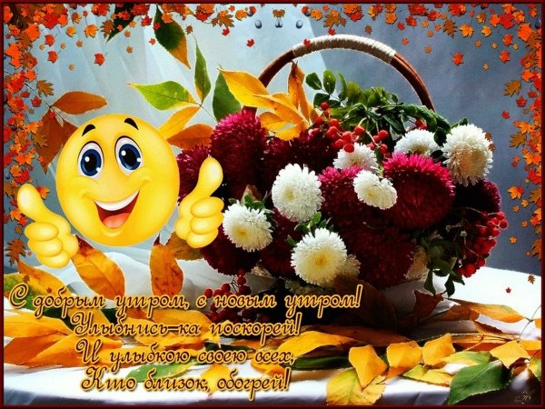 Хорошего утра и дня и отличного настроения