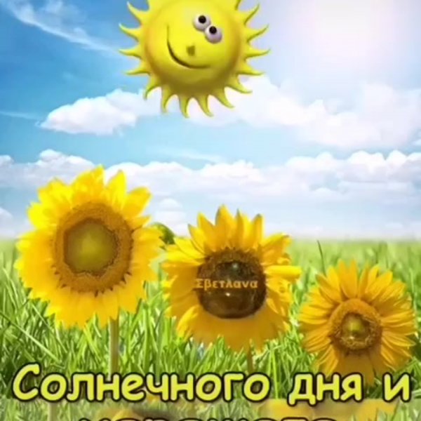 Солнечного утра и хорошего настроения