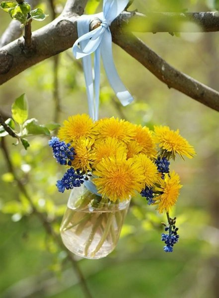 Доброго солнечного дня