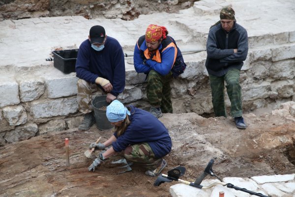 Цитаты археологов