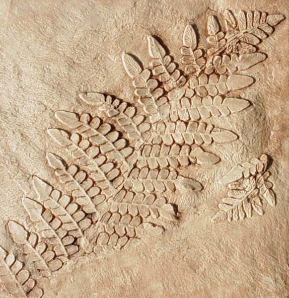 Археология приколы