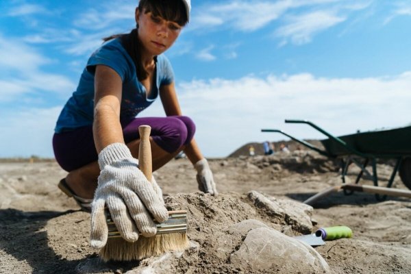 Археологи 19 века