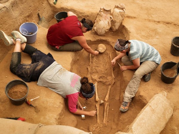 Кулаков Владимир Иванович археолог