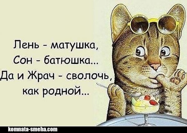 Интересные высказывания для поднятия настроения