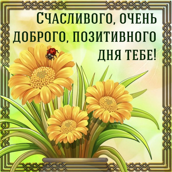 Открытки хорошего дня