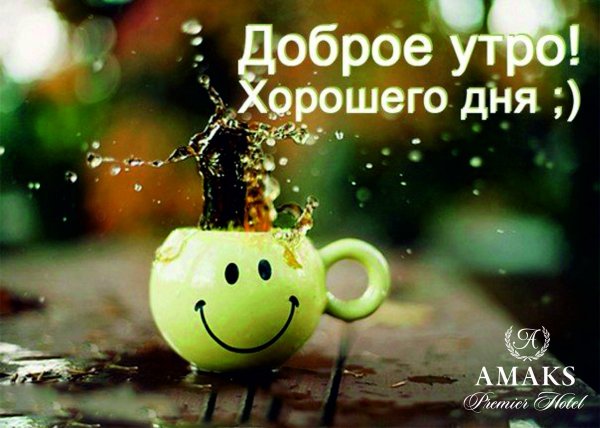 Доброе утро отличного дня
