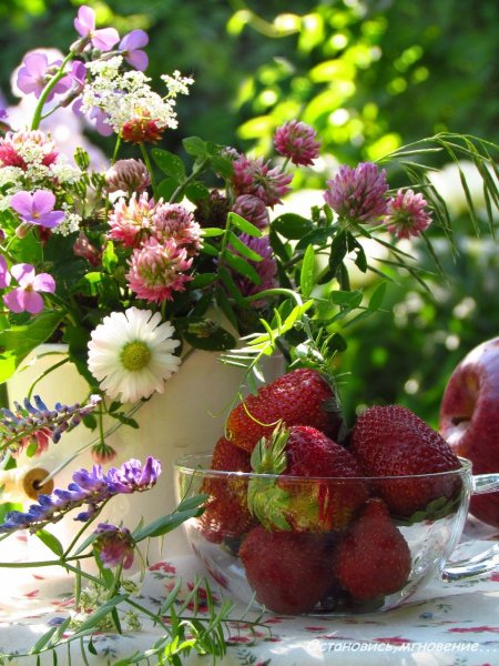 Красивое летнее утро