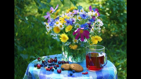 Доброе летнее утро