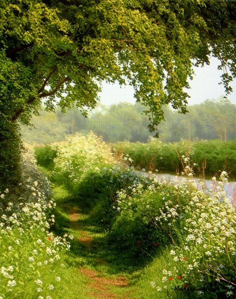 Красивые летние пейзажи