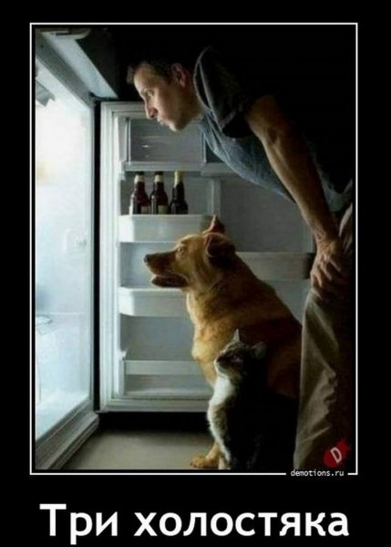 Праздник холостяка