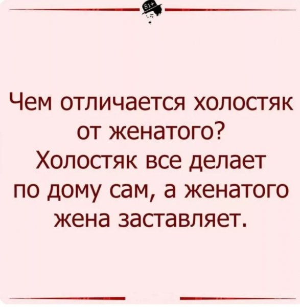 Холостяк прикольные картинки