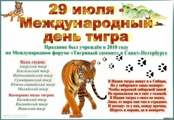29 Июля отмечается «Международный день тигра»