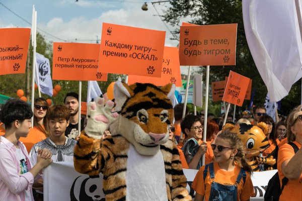 29 Июля Международный день тигра