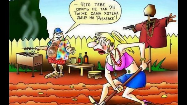 Юмор в картинках