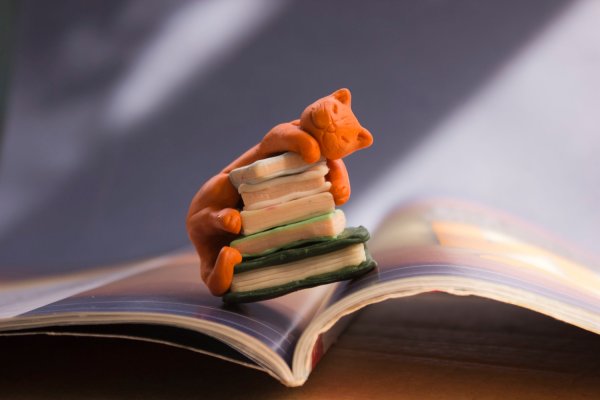 День книголюбов 9 августа