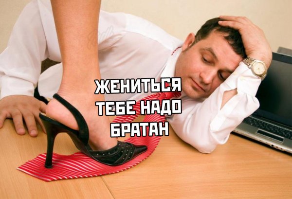 Подкаблучник прикол