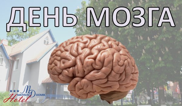 Международный день мозга