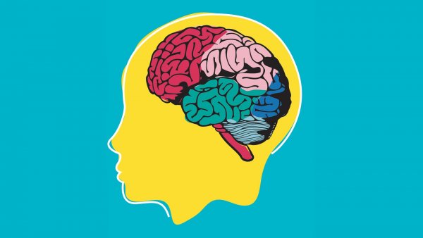 День мозга 22