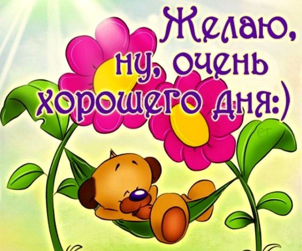 Пожелания доброго дня