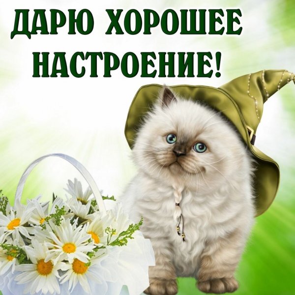 Пожелания хорошего наст