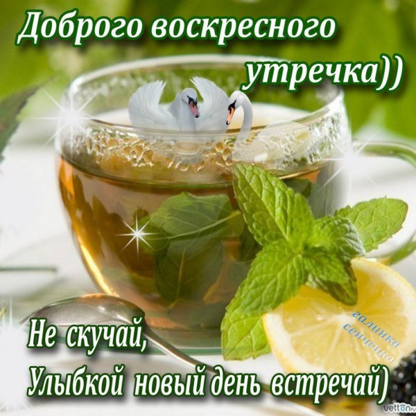 Доброго вочскре ного утра