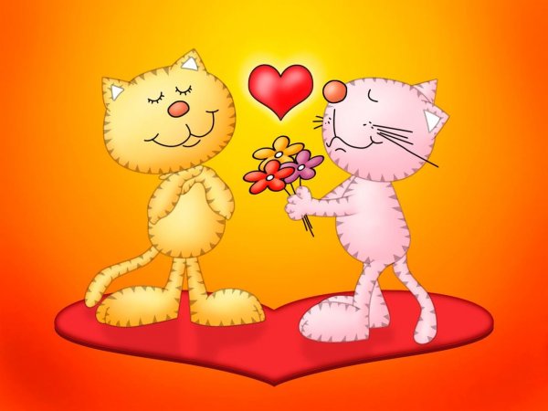 Пожелания на годовщину свадьбы прикольные