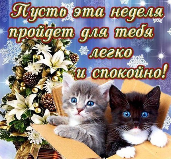 Открытки с пожеланиями хорошей недели