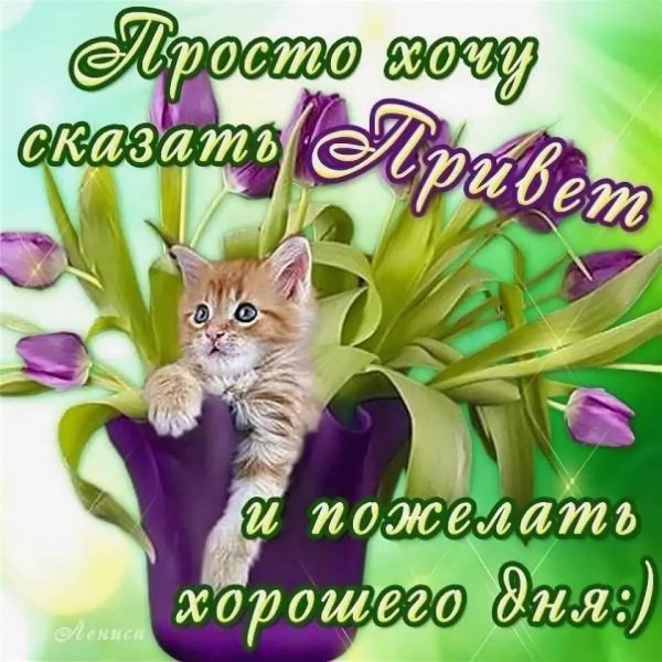 Красивые пожелания хорошего дня