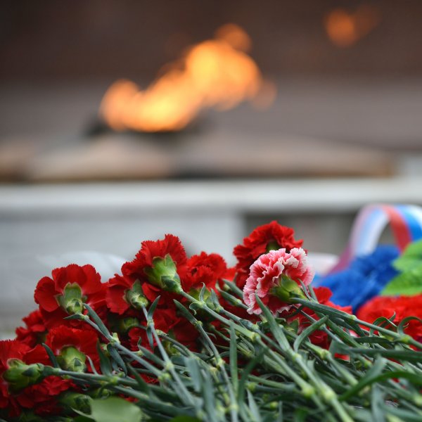 День памяти и скорби гвоздики